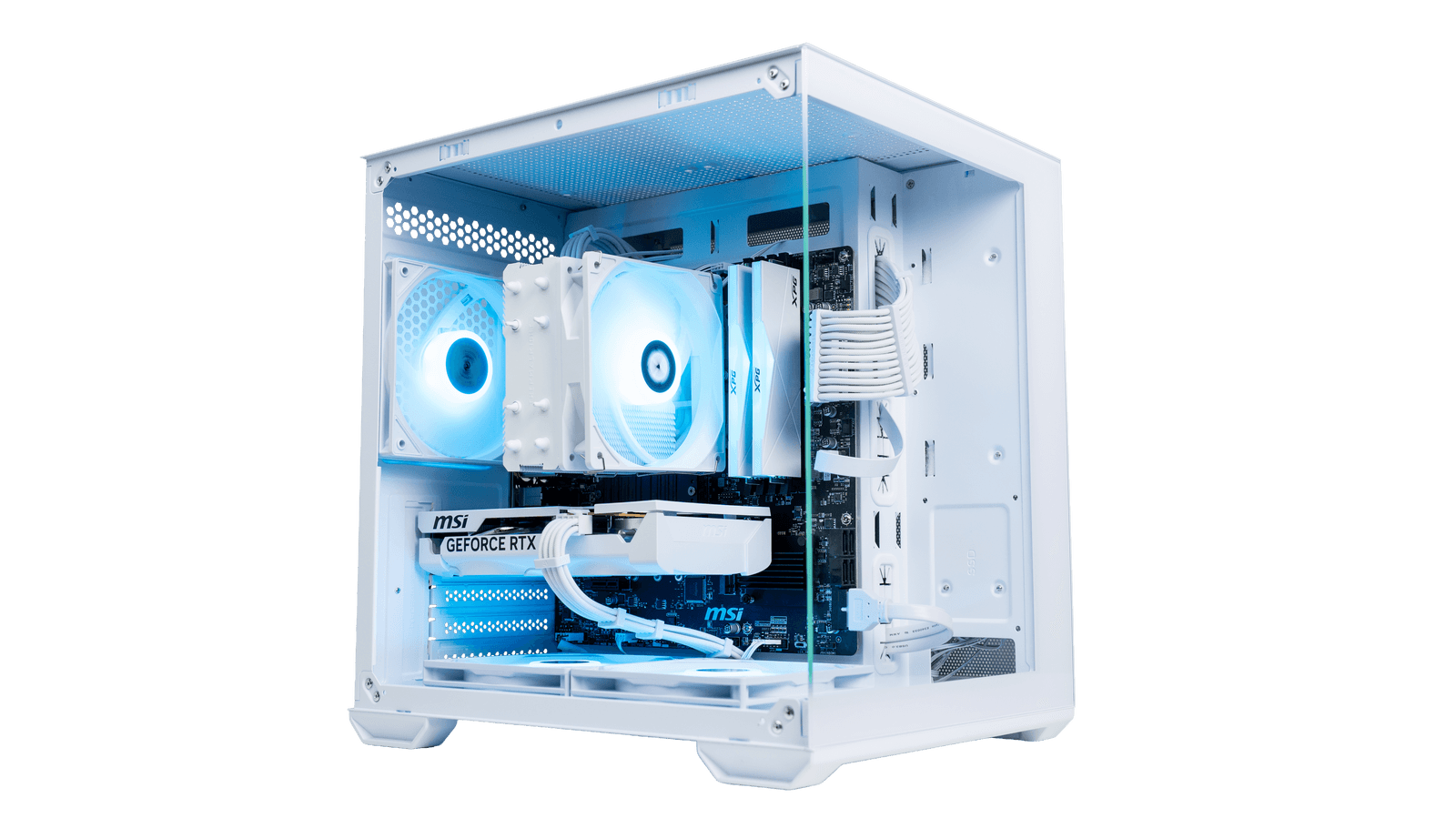 Frost Nova v6